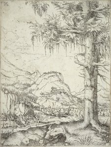 Le grand épicéa, c.1520 - Albrecht Altdorfer