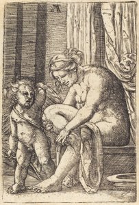 Vénus après le bain - Albrecht Altdorfer