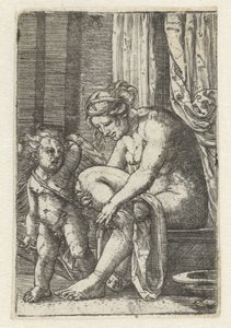 Vénus après le bain - Albrecht Altdorfer