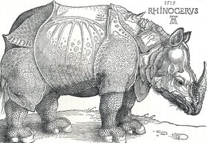 Un rhinocéros - Albrecht Dürer