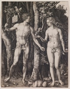  - Albrecht Dürer