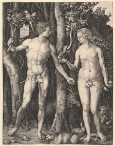  - Albrecht Dürer