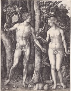  - Albrecht Dürer