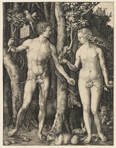 Adam et Ève, 1504 - Albrecht Dürer