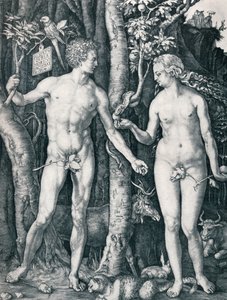 Adam et Ève, 1504 1906 - Albrecht Dürer