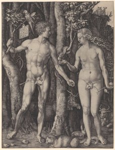  - Albrecht Dürer
