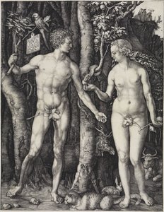  - Albrecht Dürer