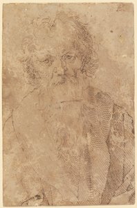  - Albrecht Dürer