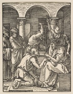  - Albrecht Dürer