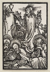  - Albrecht Dürer