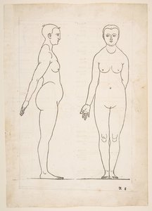 Illustration de Dürers Vier Bücher von Menschlicher Proportion, Nuremberg, 1528