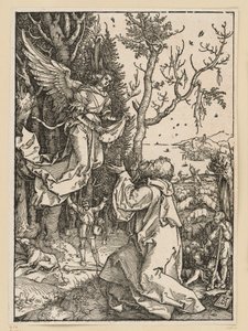  - Albrecht Dürer