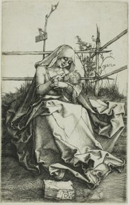 Madone sur une berge herbeuse - Albrecht Dürer