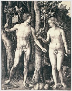 Péché originel - Albrecht Dürer