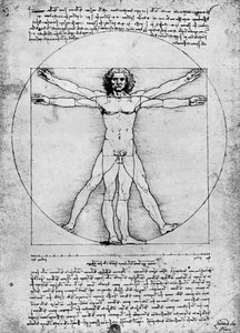 Proportions de la figure humaine, vers 1492, 1936 - Albrecht Dürer