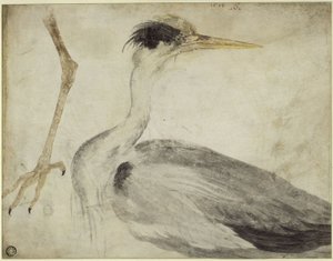  - Albrecht Dürer