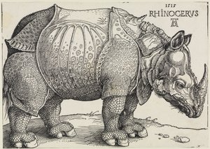 Rhinocerus (Le rhinocéros) - Albrecht Dürer