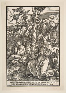 Saint François recevant les stigmates - Albrecht Dürer