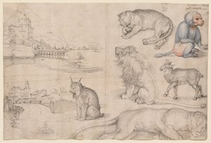  - Albrecht Dürer