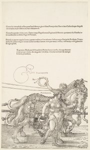  - Albrecht Dürer