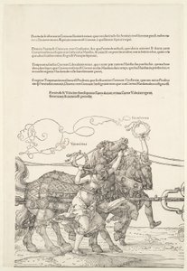  - Albrecht Dürer