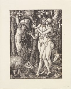  - Albrecht Dürer