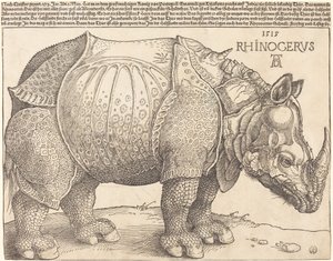 Le Rhinocéros - Albrecht Dürer