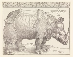 Le Rhinocéros - Albrecht Dürer