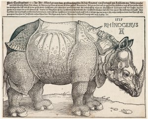 Le rhinocéros