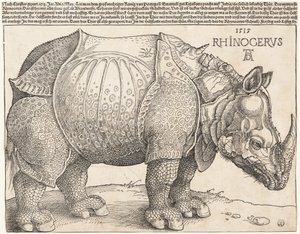  - Albrecht Dürer