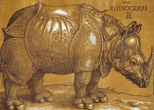 Le Rhinocéros - Albrecht Dürer