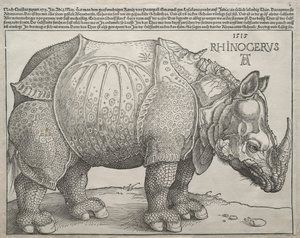 Le Rhinocéros - Albrecht Dürer