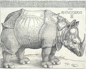 Le Rhinocéros, 1515 - Albrecht Dürer