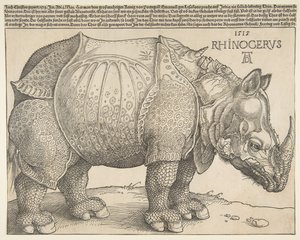 Le Rhinocéros - Albrecht Dürer