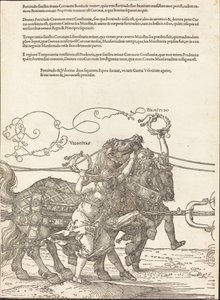 Le char triomphal de Maximilien I (Le Grand Char Triomphal) [plaque 5 de 8]