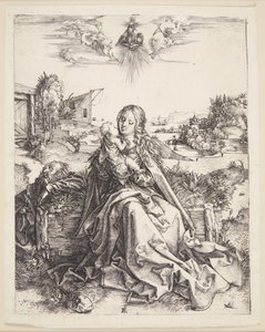 La Vierge avec la libellule - Albrecht Dürer
