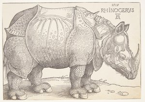 Le rhinocéros - Albrecht Dürer