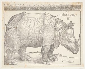Le rhinocéros - Albrecht Dürer