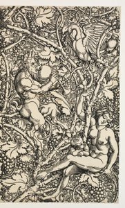 Deux dessins pour tapisserie avec famille de satyres - Albrecht Dürer