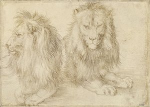 Deux lions assis, 1521 - Albrecht Dürer