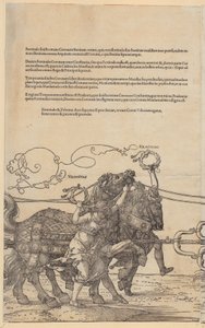  - Albrecht Dürer