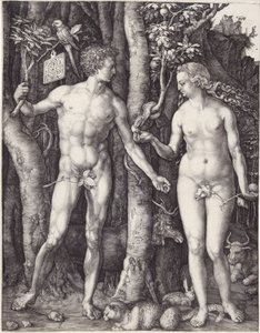 Adam et Ève, pub. 1504 (gravure) - Albrecht Dürer