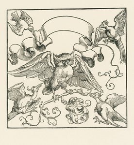 Un hibou attaqué par quatre autres oiseaux, vers 1515 (gravure sur bois) - Albrecht Dürer or Duerer