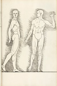 Gravure anatomique de Hierinn sind begriffen vier bücher von menschlicher Proportion, 1528 - Albrecht Dürer