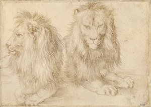 Deux lions assis - Albrecht Dürer