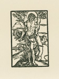 Saint Sébastien - Albrecht Dürer or Duerer