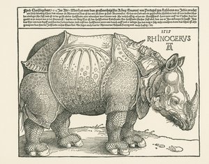 Le rhinocéros - Albrecht Dürer or Duerer