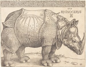 Le Rhinocéros - Albrecht Dürer