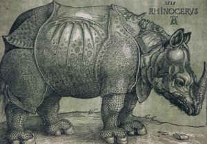 Le Rhinocéros, 1515 - Albrecht Dürer
