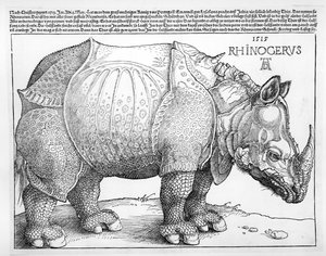 Le Rhinocéros, 1515 - Albrecht Dürer